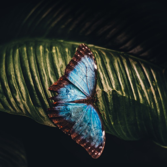 Meet your Posher, Kortney - Picture 1 of 1